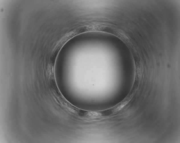 X0000057060429200509231537