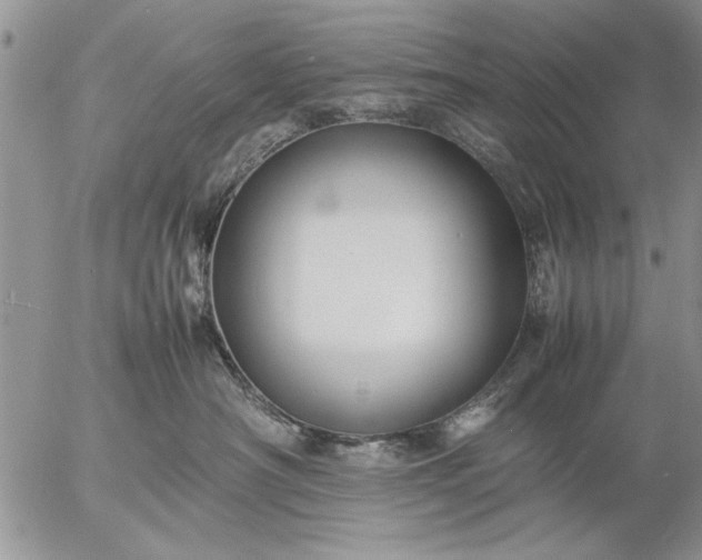 X0000057060430200509231537