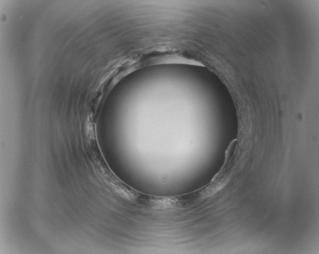 X0000057060432200509231537