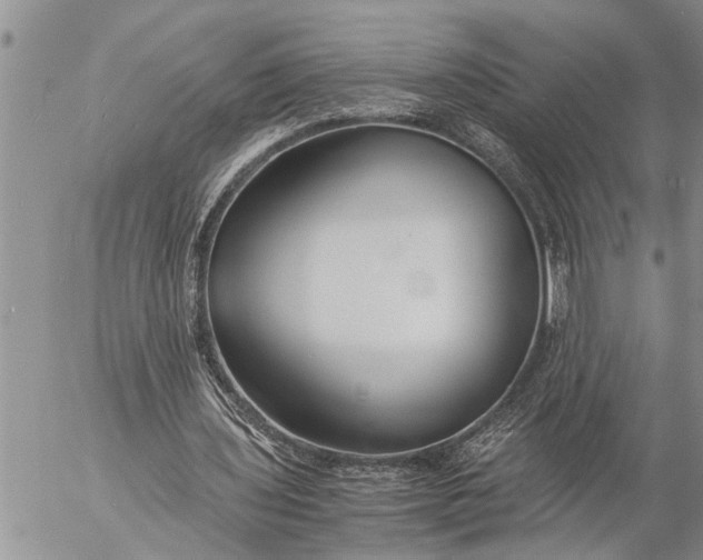 X0000057060435200509231536