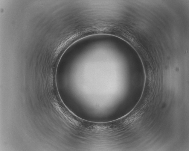 X0000057060442200509231536