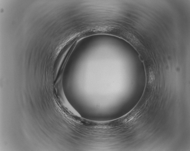 X0000057060444200509231536