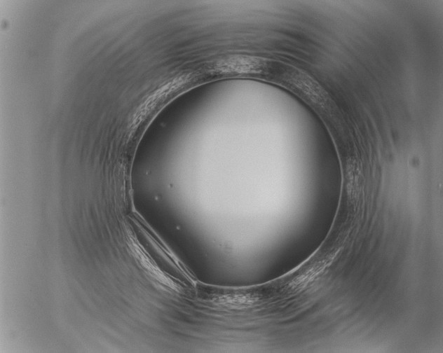 X0000057060445200509231536