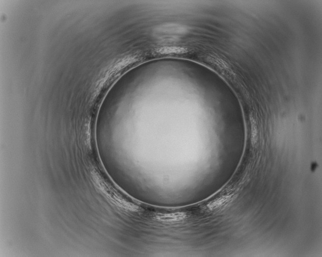 X0000057060447200509231536