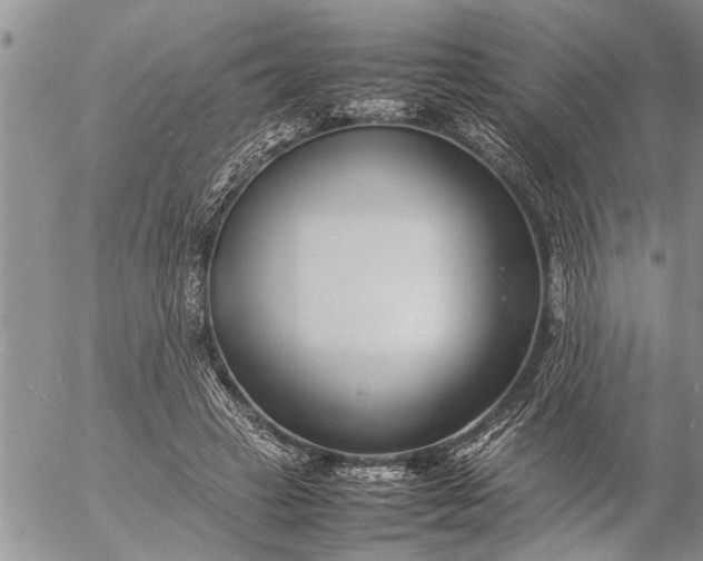 X0000057060449200509231536