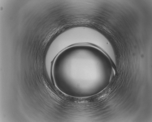 X0000057060452200509231536