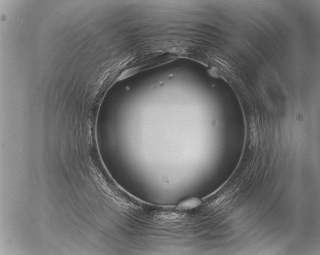 X0000057060453200509231536