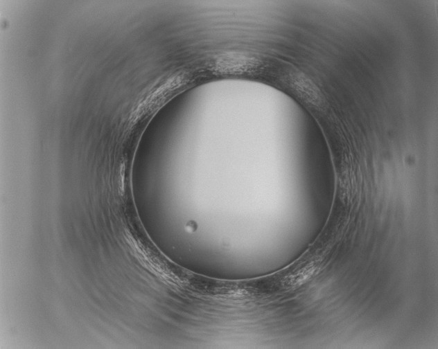 X0000057060454200509231536