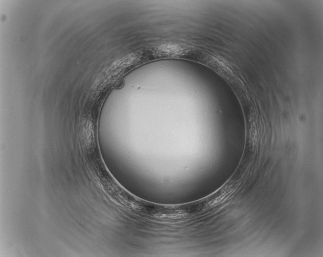 X0000057060459200509231536