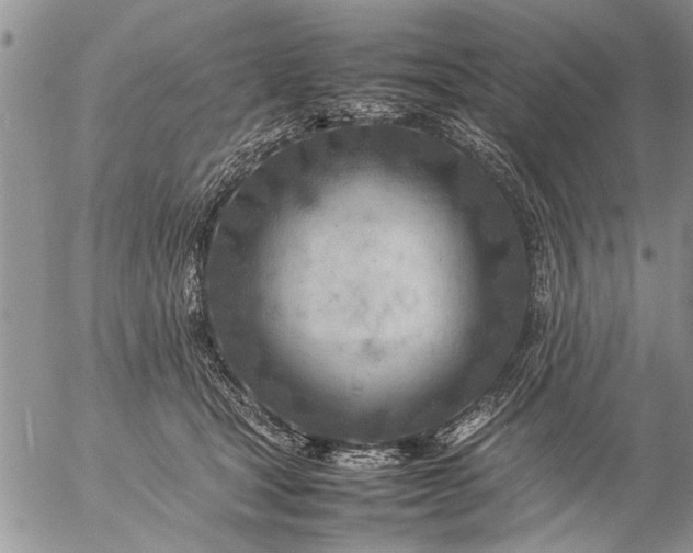 X0000057060465200509231536