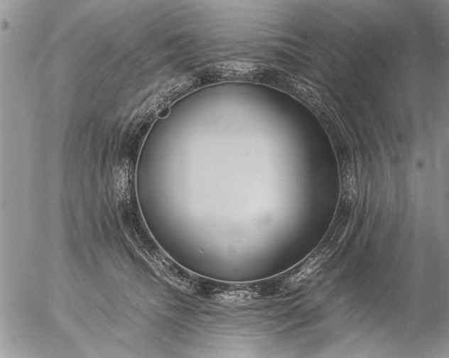 X0000057060468200509231537