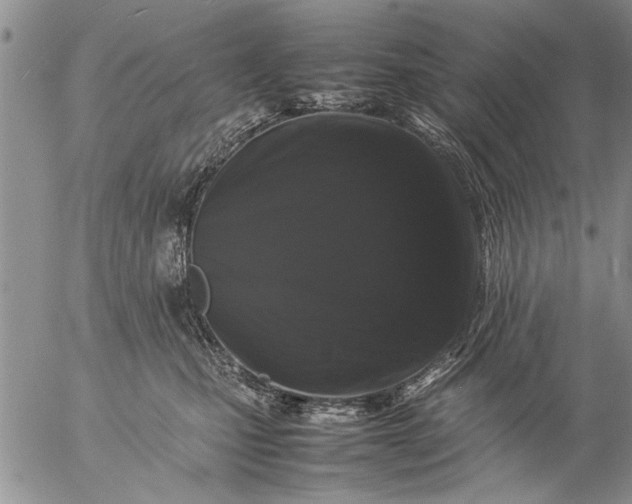 X0000057060471200509231537