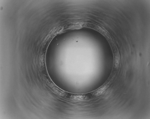 X0000057060473200509231537