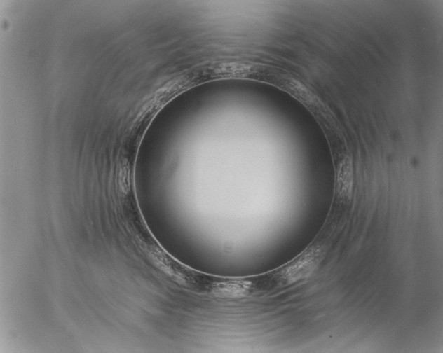 X0000057060474200509231537