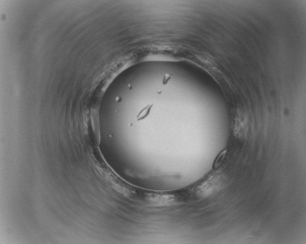 X0000057060476200509231537