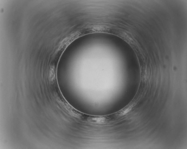 X0000057060478200509231537