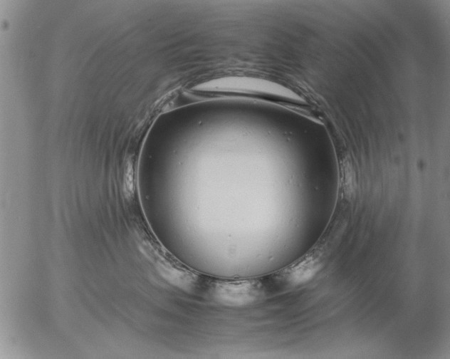 X0000057060479200509231537