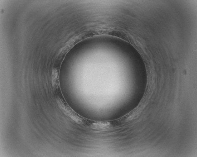 X0000057060480200509231537