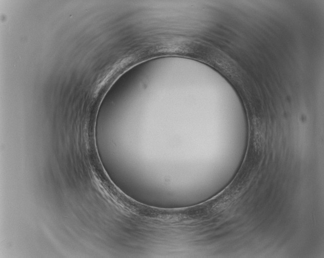 X0000057060482200509231536