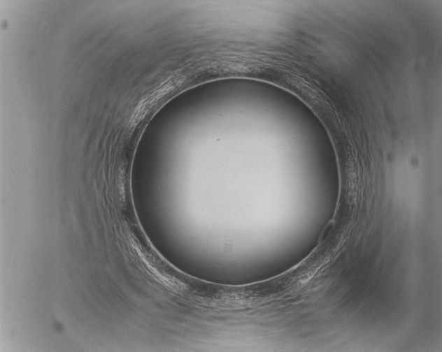 X0000057060489200509231536