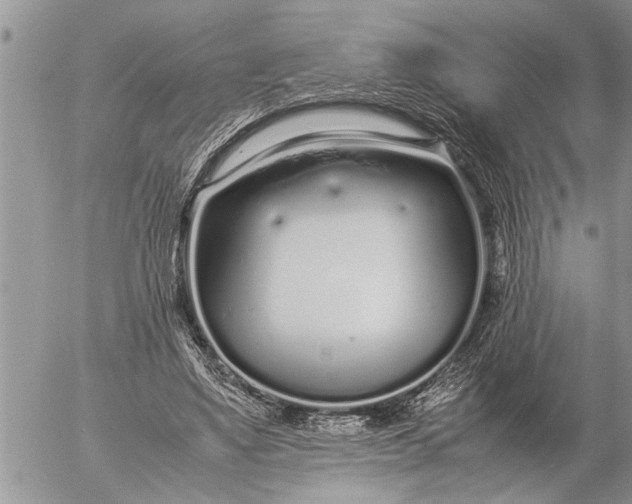 X0000057060491200509231536