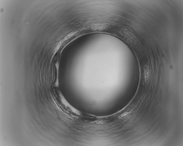 X0000057060492200509231536