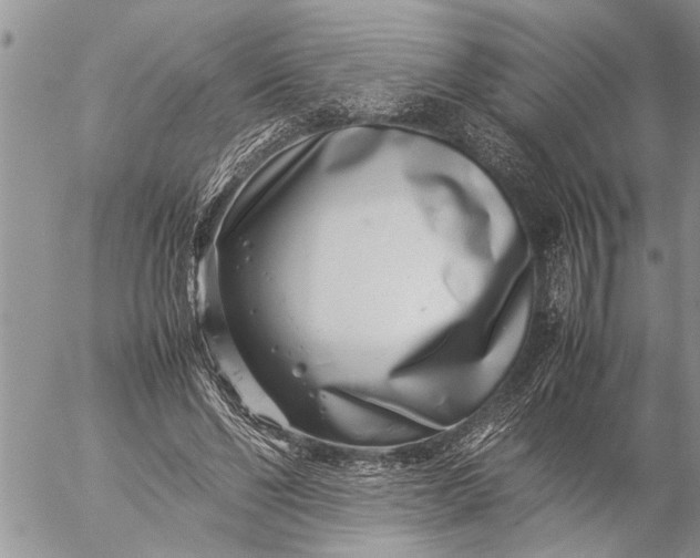 X0000057060494200509231536