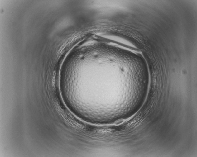 X0000057060495200509231536