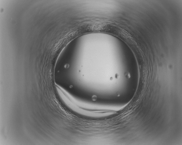 X0000057060497200509231536