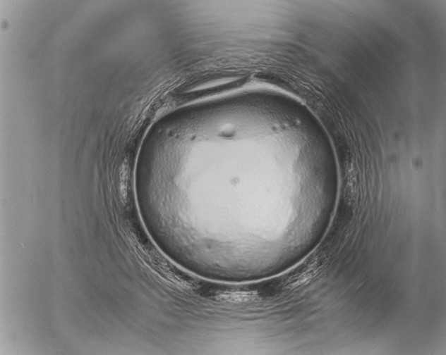 X0000057060499200509231536