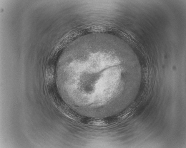 X0000057060507200509231535