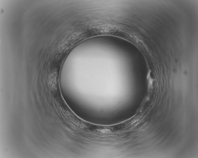 X0000057060509200509231535