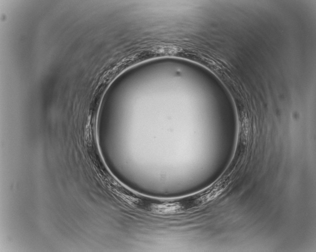 X0000057060511200509231535