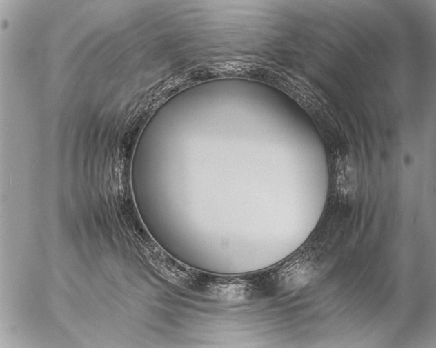 X0000057060514200509231535