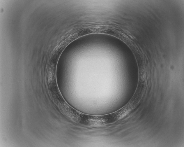 X0000057060515200509231535