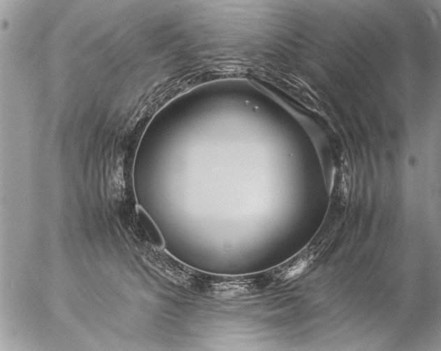 X0000057060516200509231535