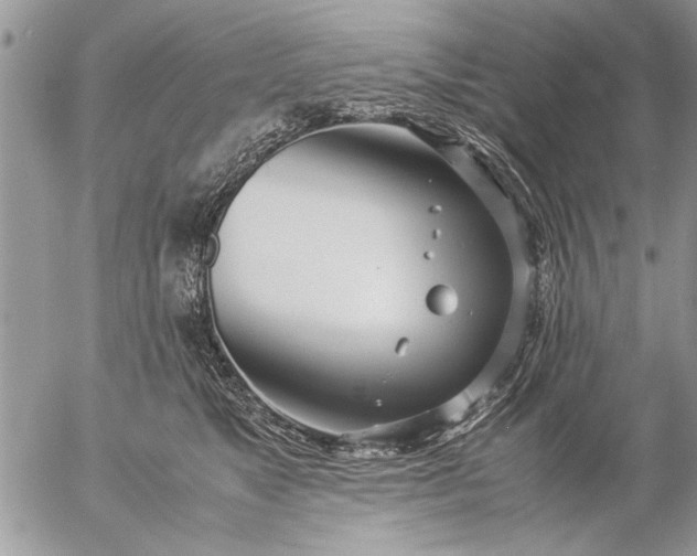 X0000057060517200509231535