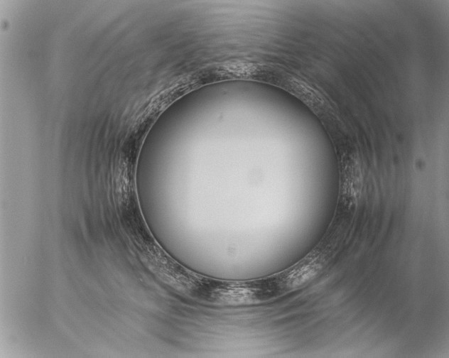 X0000057060518200509231535