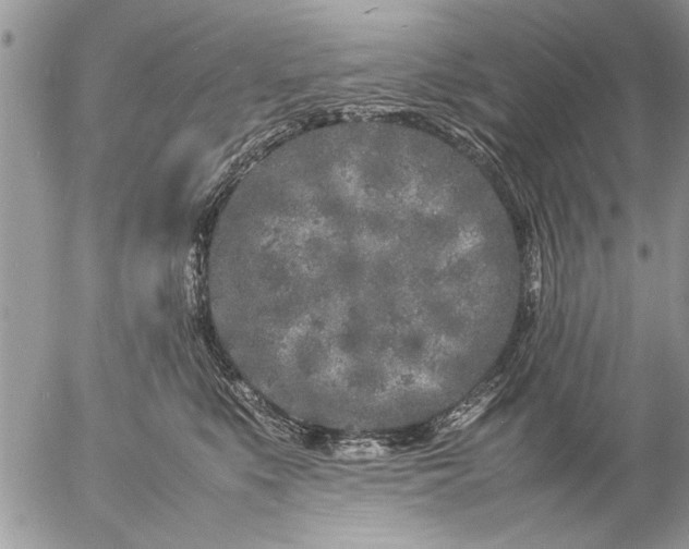 X0000057060519200509231535