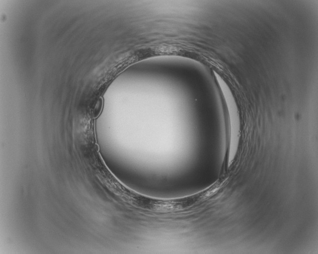 X0000057060521200509231535