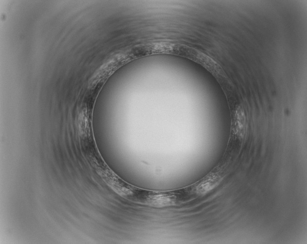 X0000057060522200509231535