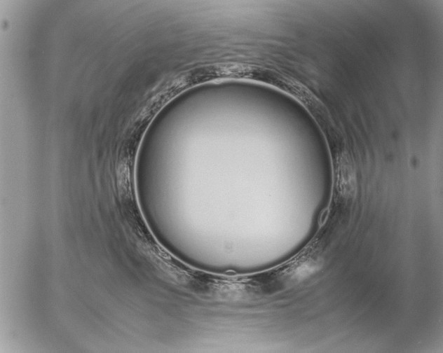 X0000057060523200509231535