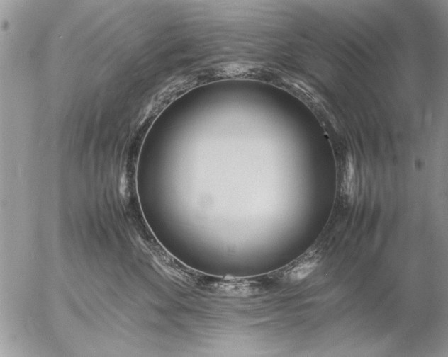 X0000057060524200509231535