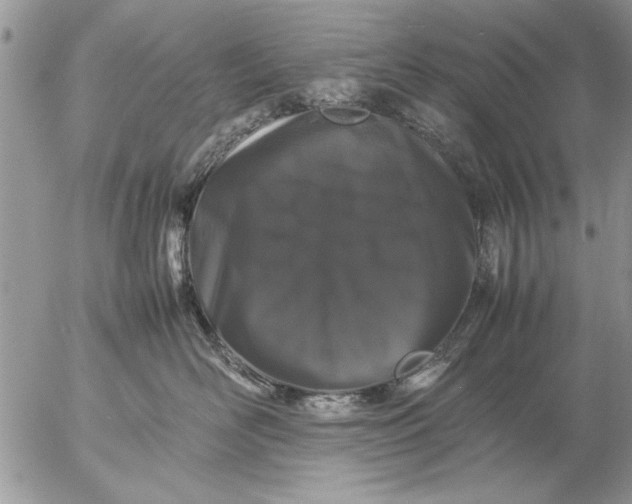 X0000057060526200509231535