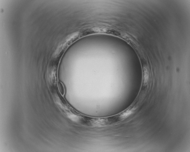 X0000057060527200509231535