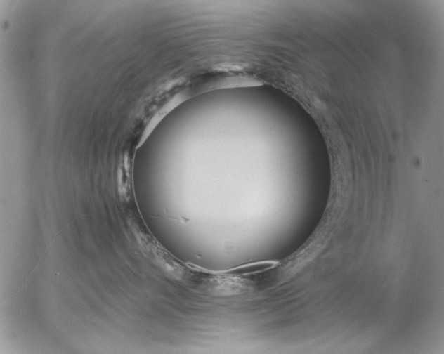 X0000057060528200509231535