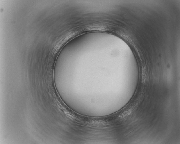 X0000057060529200509231534