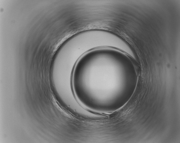 X0000057060530200509231534