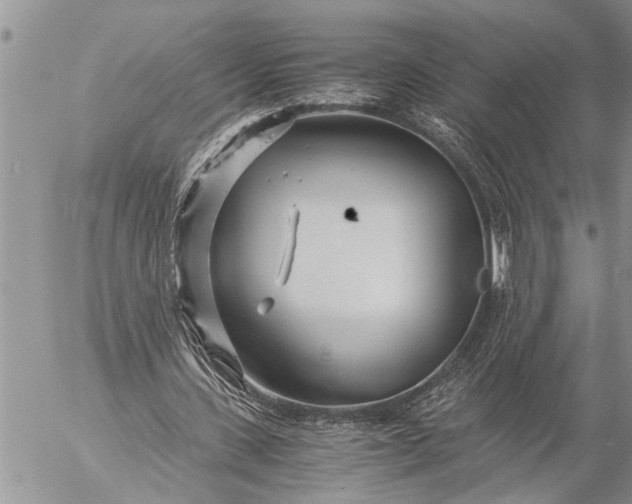 X0000057060531200509231534