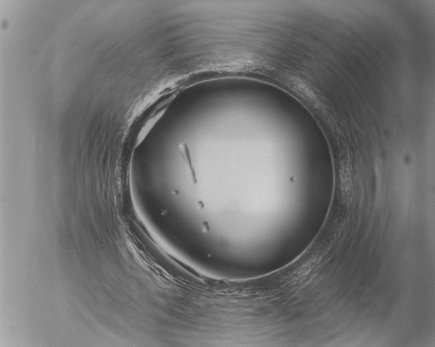 X0000057060532200509231534